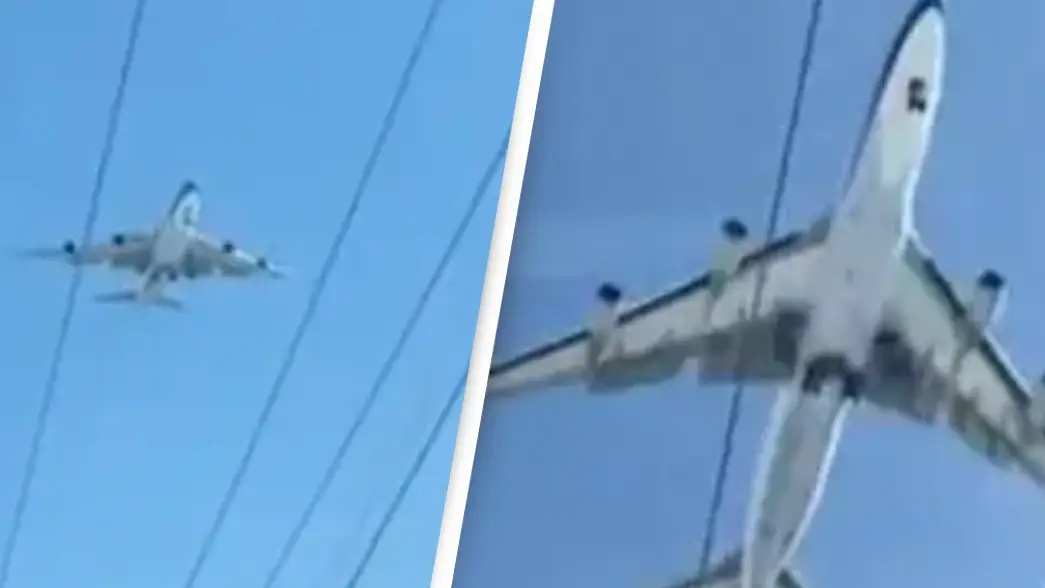 Credit: tania.draws/TikTok 