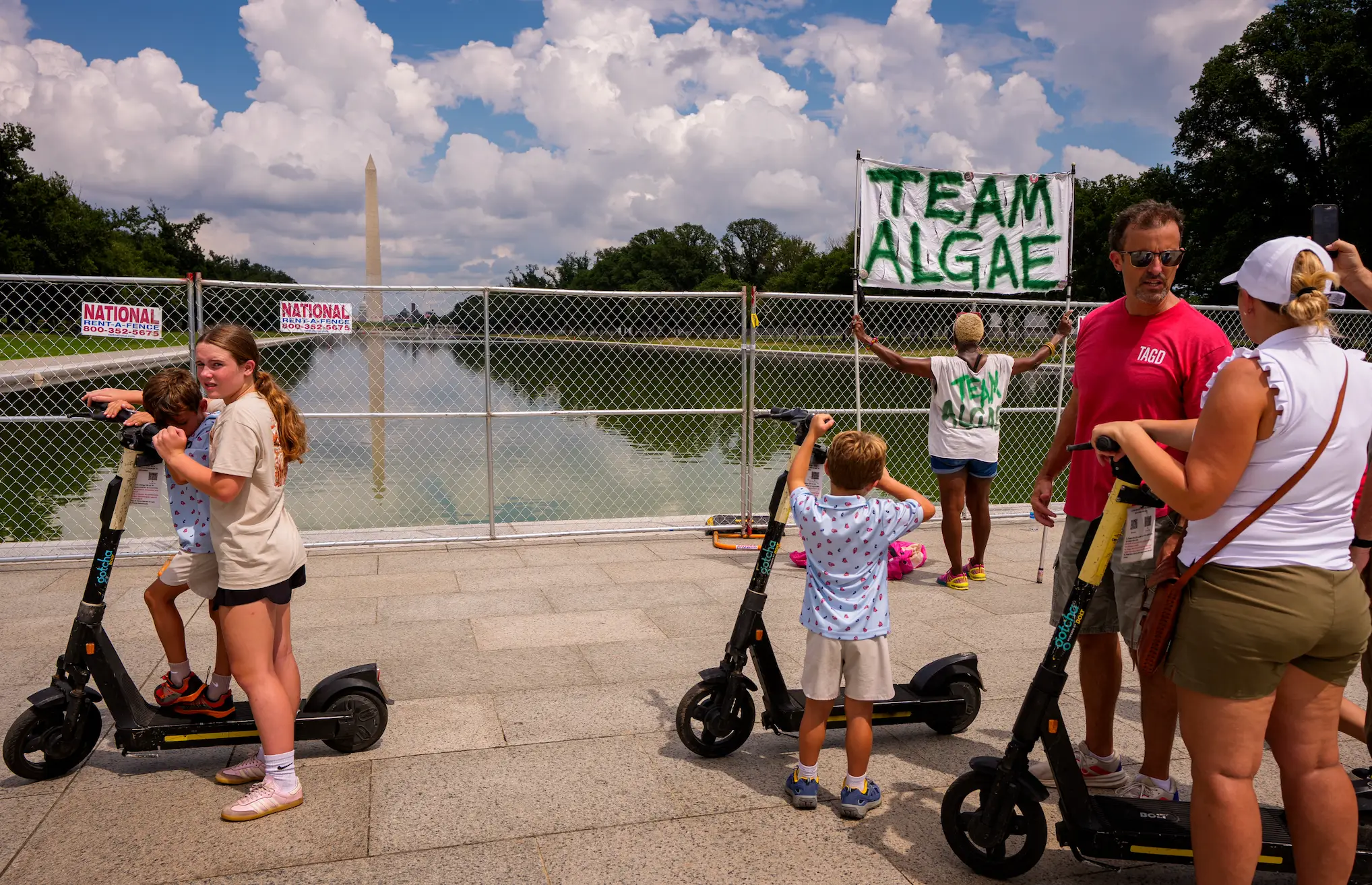 Trump alleges the pool has been targeted by vandals (Andrew Harnik/Getty Images)