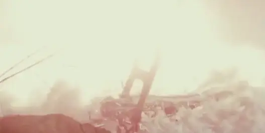 Her video shows how the Golden Gate Bridge would be shattered to pieces in minutes (Twitter/@tulsigabbard)