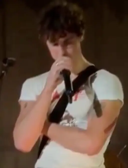 Shawn Mendes was emotional (TikTok/@alexxontour)