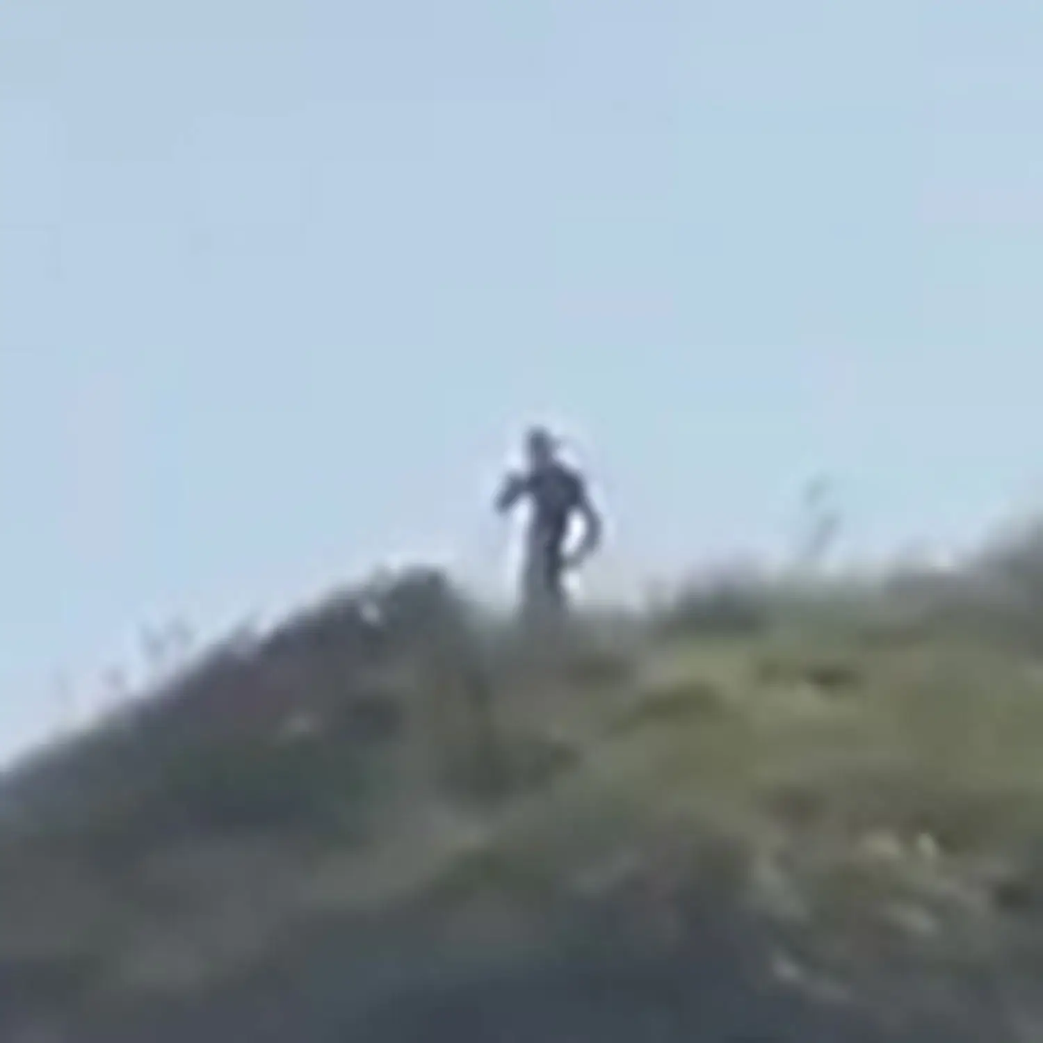 One of the figures on top of the hill.