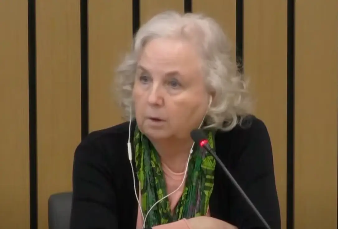 Crampton Brophy said she remembered seeing a man in a 'white van'.