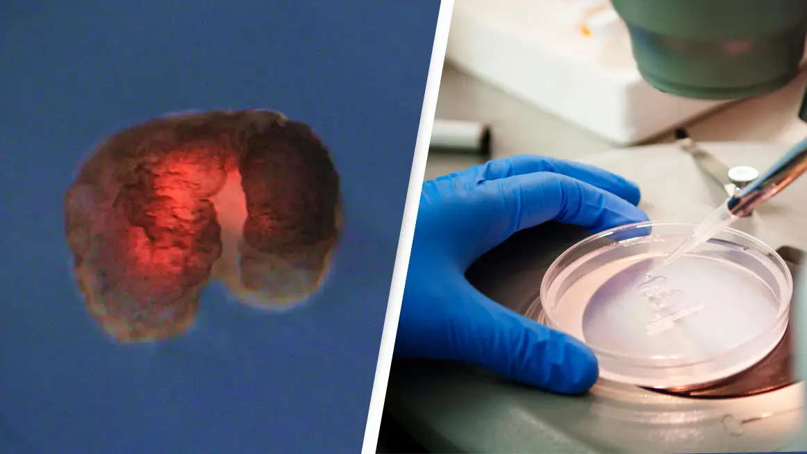 Bongard et al/YouTube/Alamy