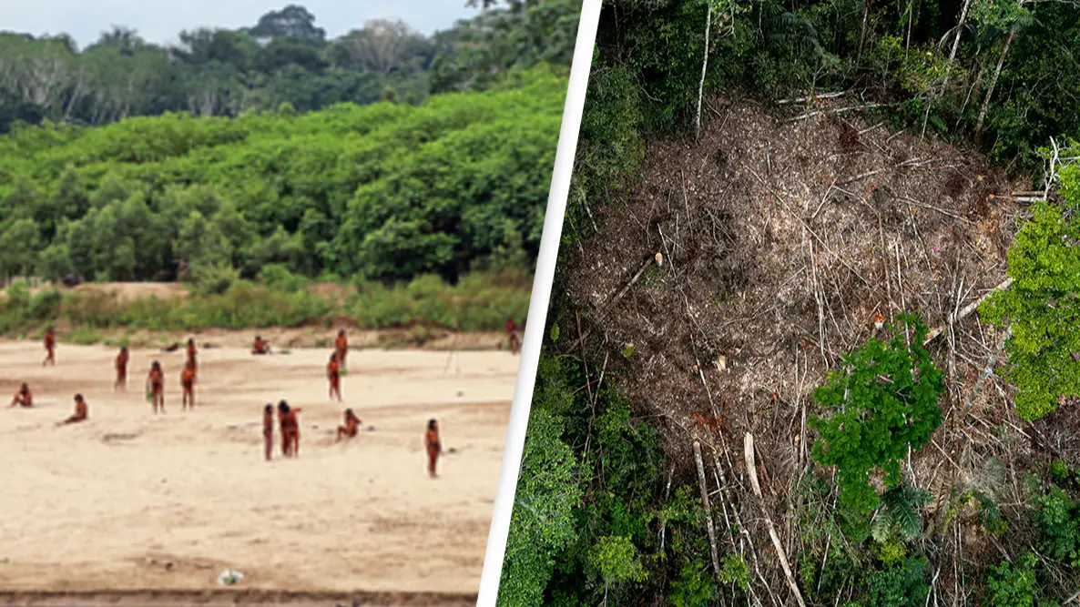 World's largest 'uncontacted' tribe fatally shoot two logging workers with bow and arrow as others still missing