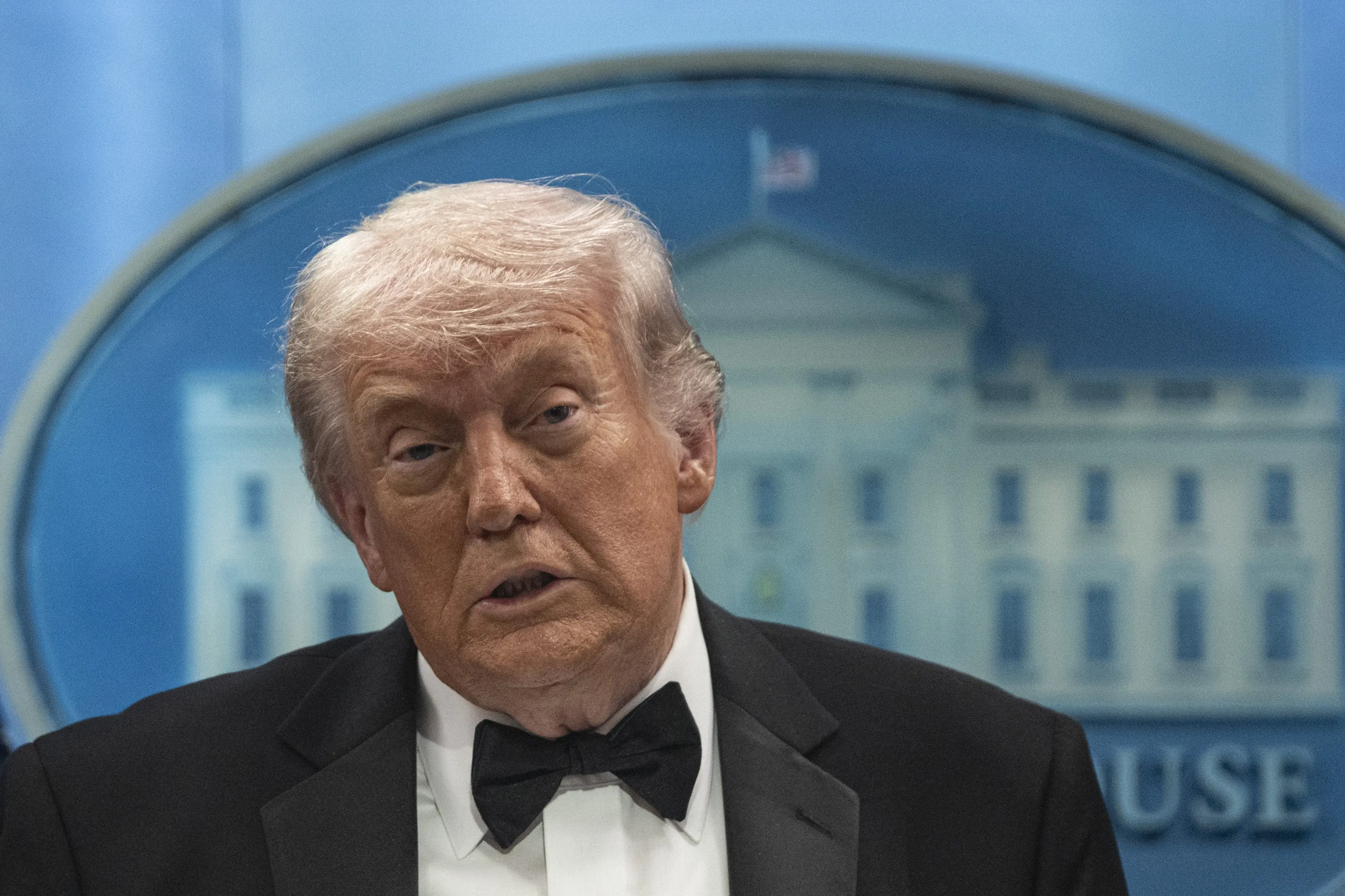 Trump has frequently hit out at the Democrats opposition to ICE (Celal Gunes/Anadolu via Getty Images)