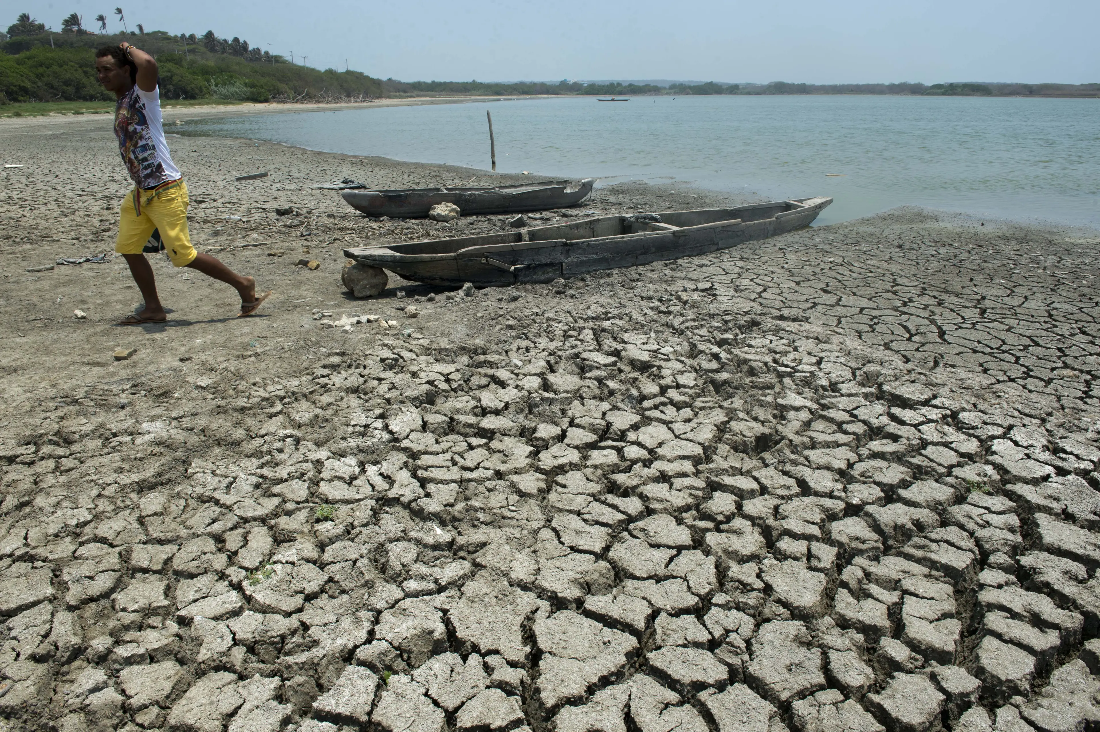 El Niño is also linked to drought, such as this is Colombia in 2014 (EITAN ABRAMOVICH/AFP via Getty Images)