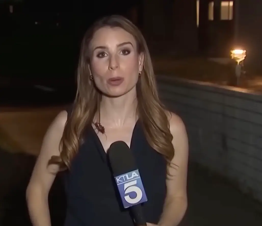 She was able to continue the broadcast as if nothing had happened. (@ktla/YouTube)
