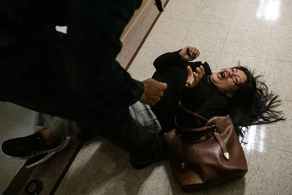 The mother was tackled to the ground by an ICE officer (Stephanie Keith/Getty Images)