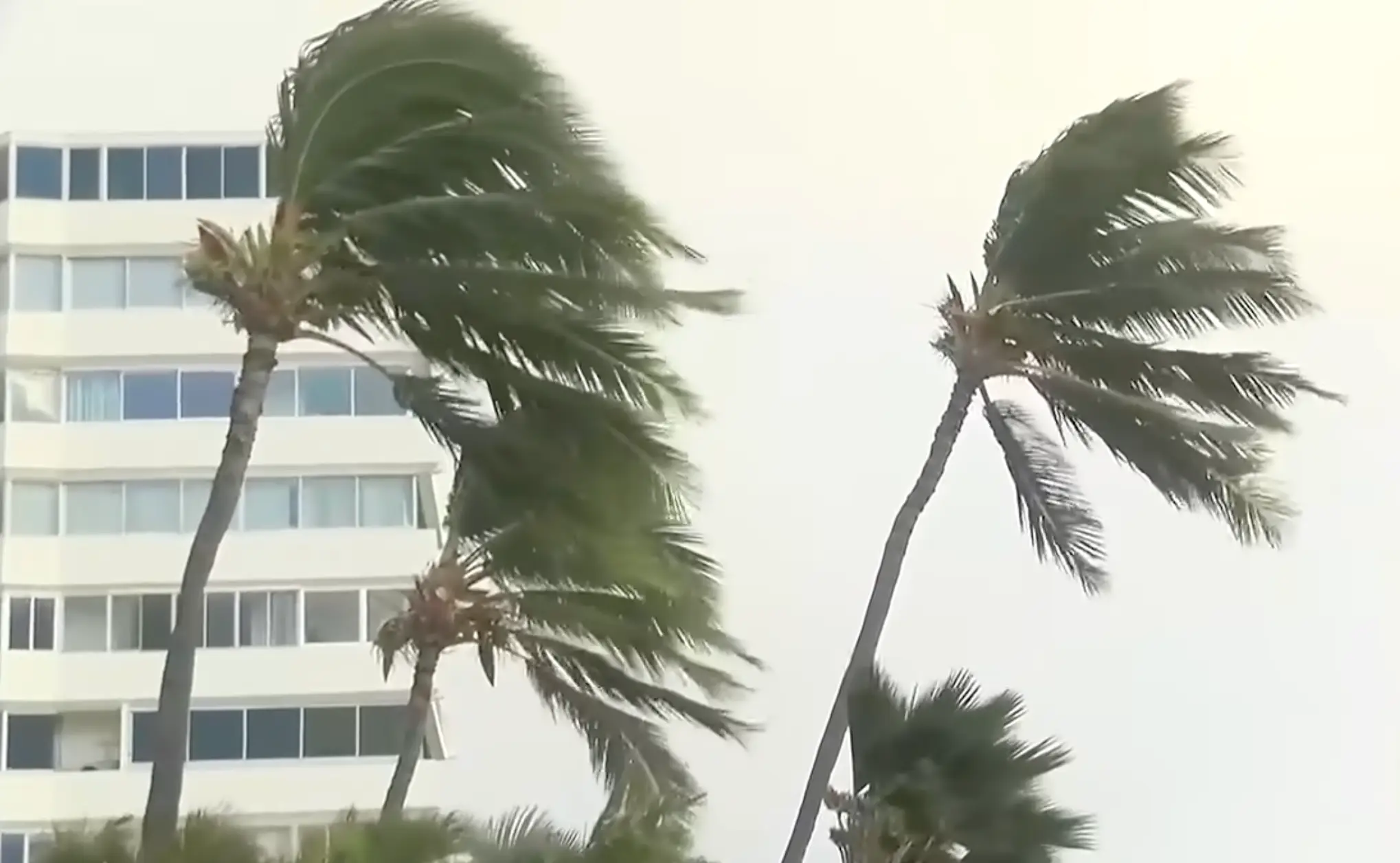 Hurricane Lowell is a category 4 (Hawaii News Now)