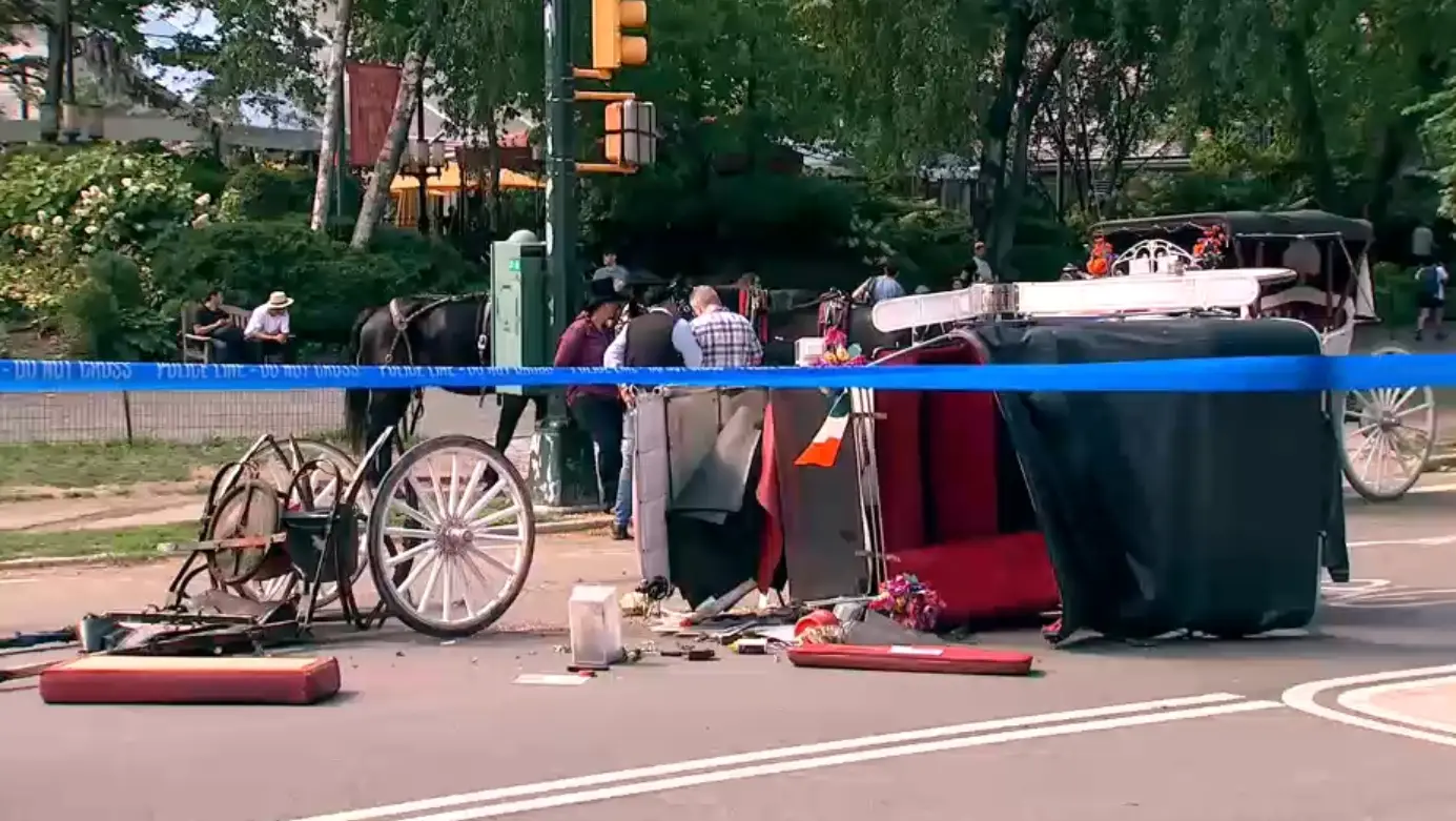 A teen tourist sadly died as a result of the incident (ABC7 New York)