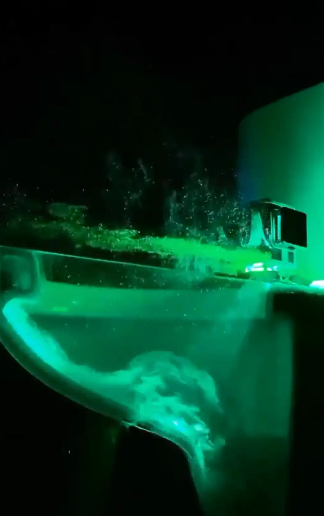 Germs from the toilet are seen flying out of the loo when it is flushed. (TikTok/DIYMAN_PRO)