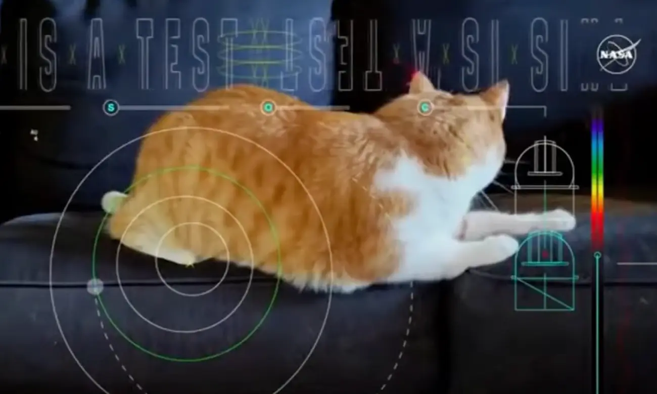 Taters is now famous.