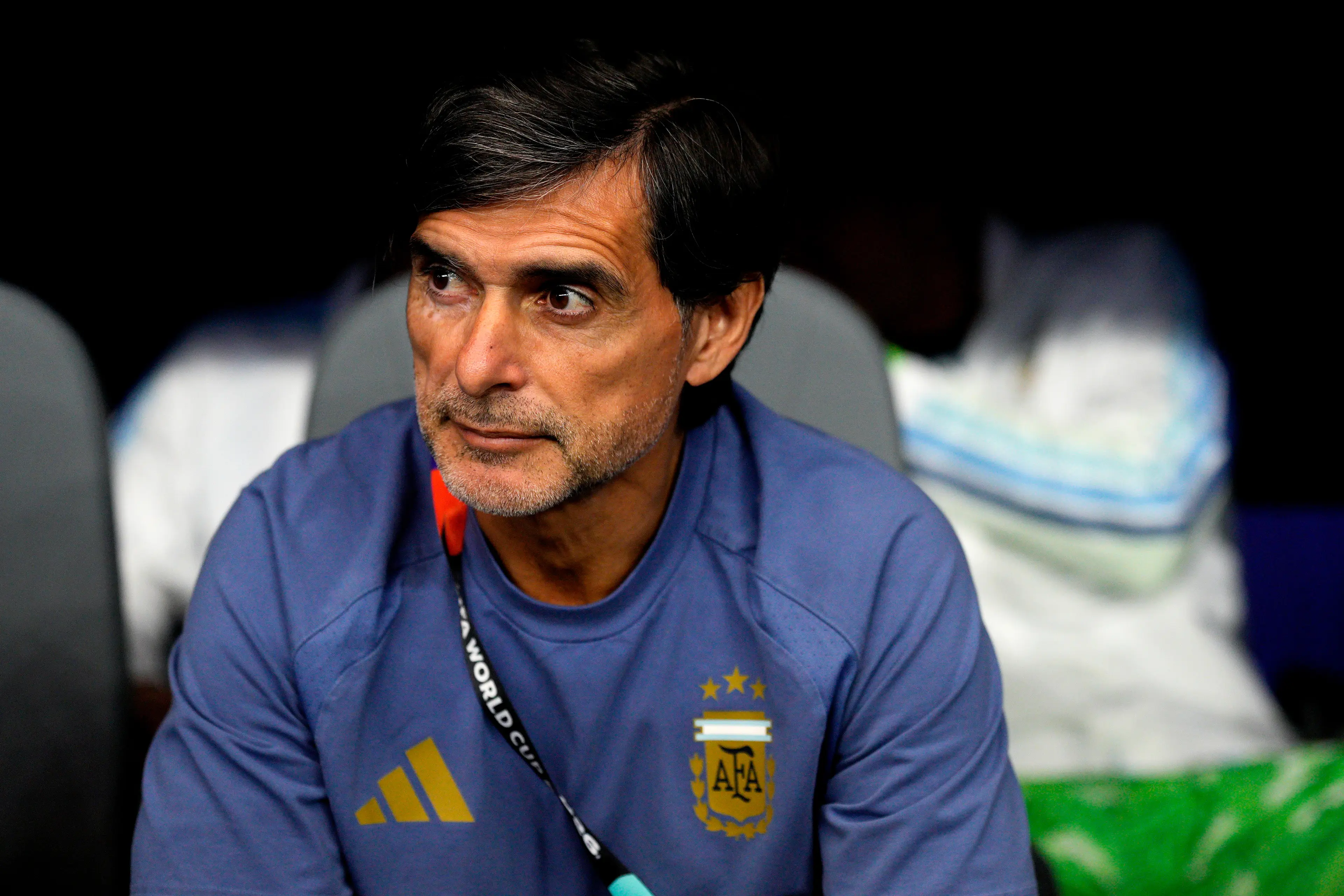 Roberto Ayala has issued an apology after being involved in the brawl (Pablo Morano/BSR Agency/Getty Images)