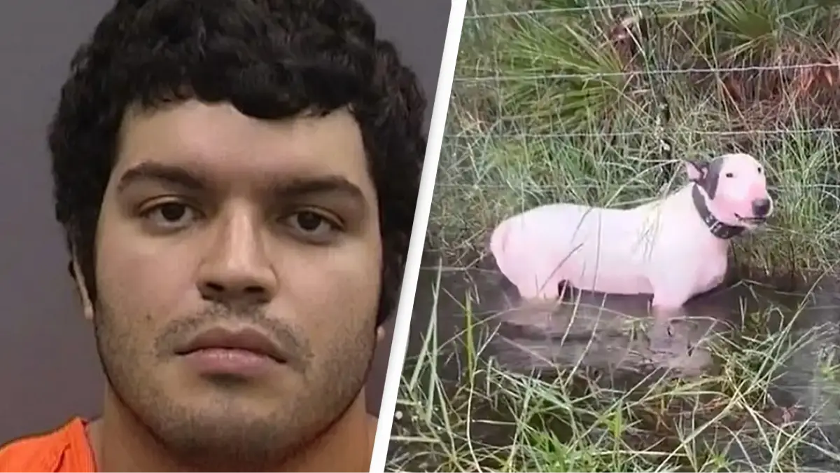 Hillsborough County Sheriff's Office/ FHP Tampa