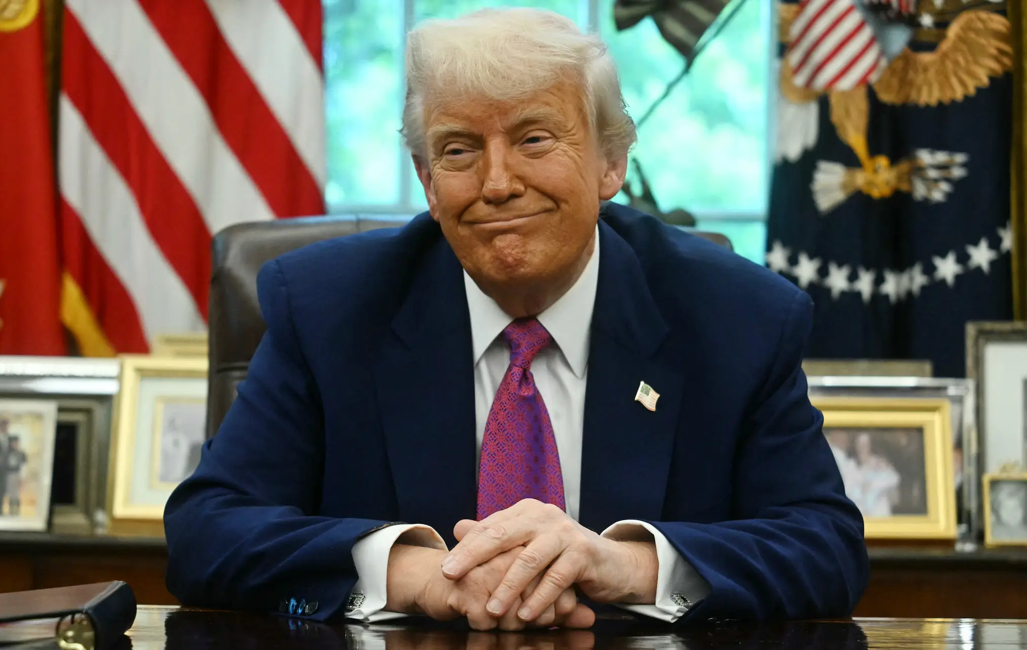 The proposal has ruffled a fair few feathers (JIM WATSON/AFP via Getty Images)