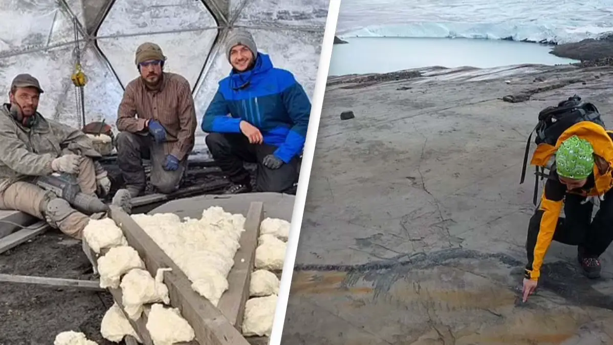 University Of Manchester