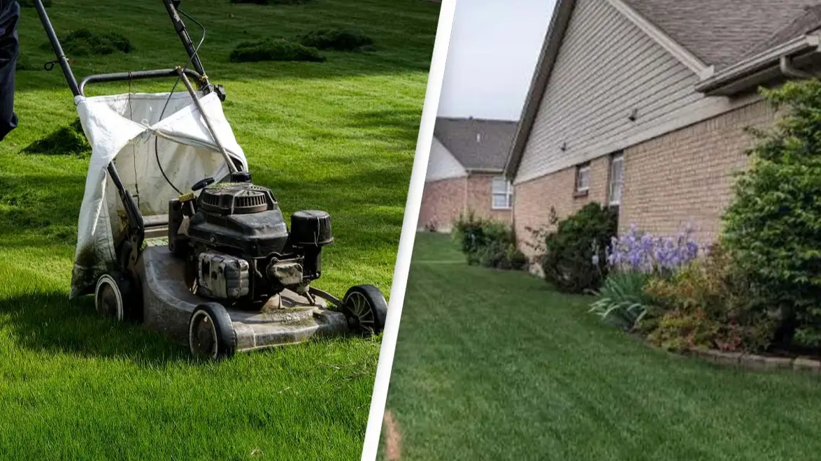 Getty Stock Images / Reddit/PogoChop