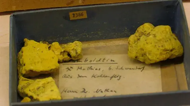 The discovery stunned scientists (Prögler/LfU)