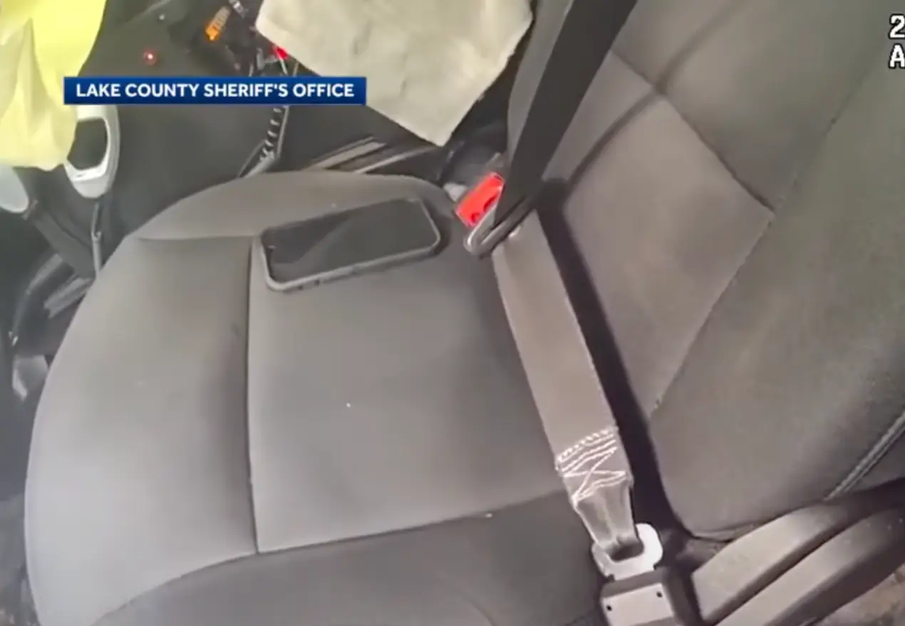 Is that a towel in the police car...? (Lake County Sheriff's Office)