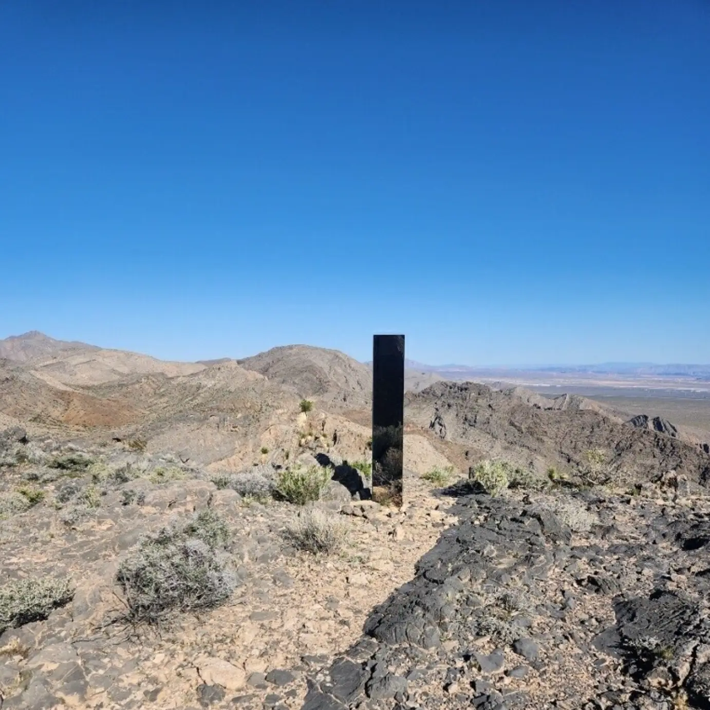 The cops have called on the internet to uncover the truth of how it got there. (Facebook/Las Vegas Metropolitan Police Department)