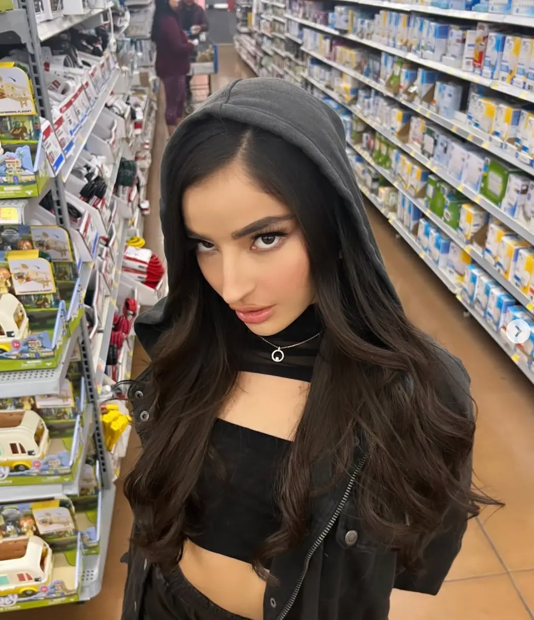 The former adult star was pursuing a new career before she was admitted to rehab (Instagram/Emily Willis)