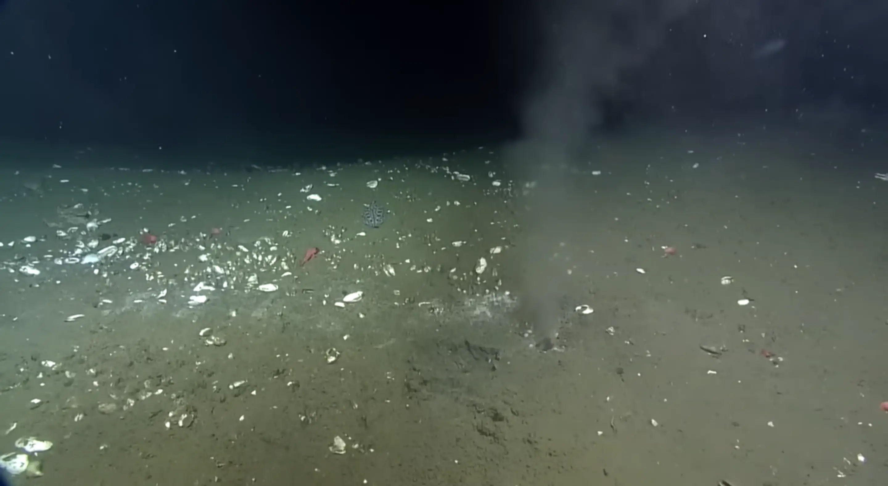 If pressure is lower at the fault, the stress between plates could build and result in an earthquake.