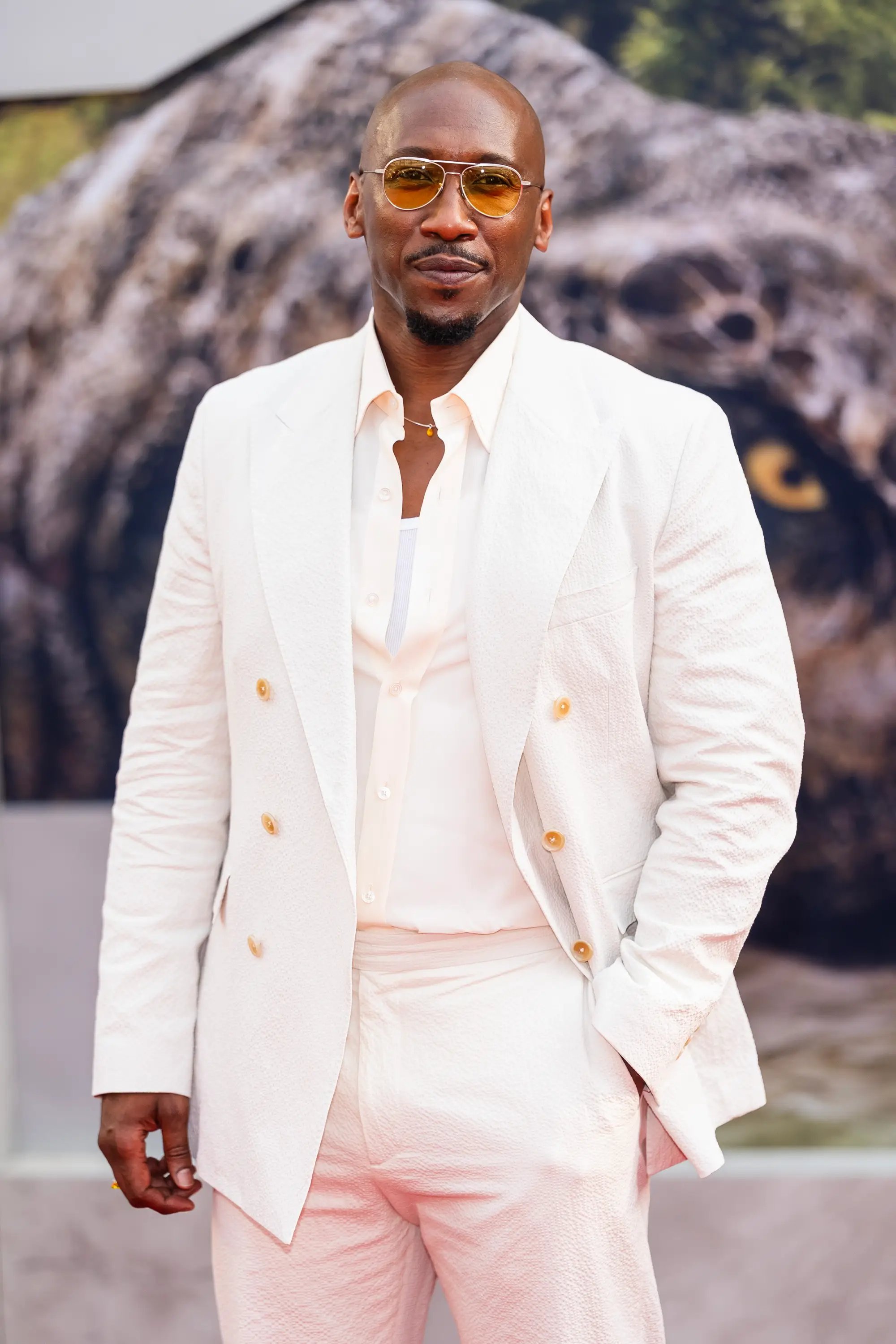 Ali has been attached to the project since 2019 (TheStewartofNY/FilmMagic)