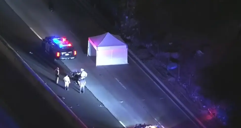 The suspect was sadly struck and killed (KLTA 5/YouTube)