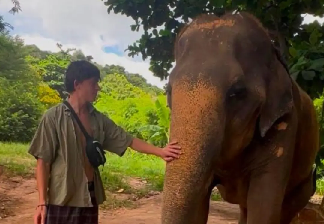 Loukas Rainger was arrested at an airport in Thailand (Give A Little/ Melissa Pronk)