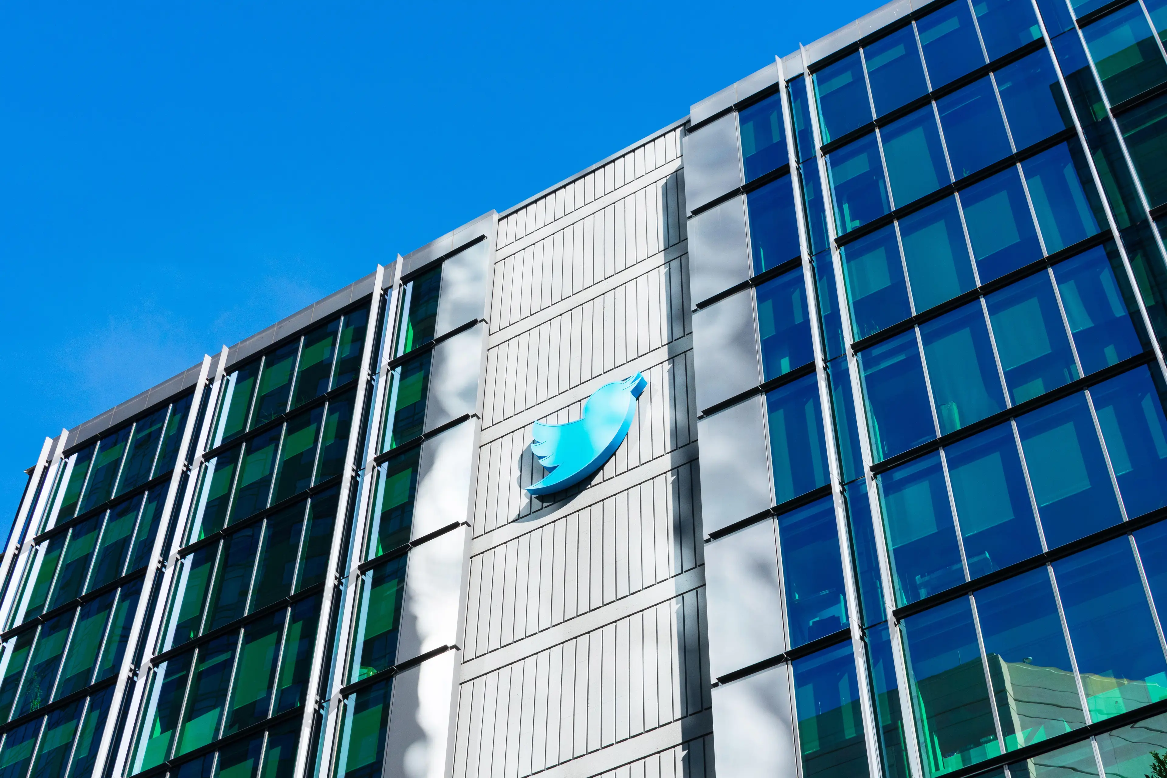 Former head of product for Twitter's developer platform Amir Shevat has spoken out against the company and Elon Musk.