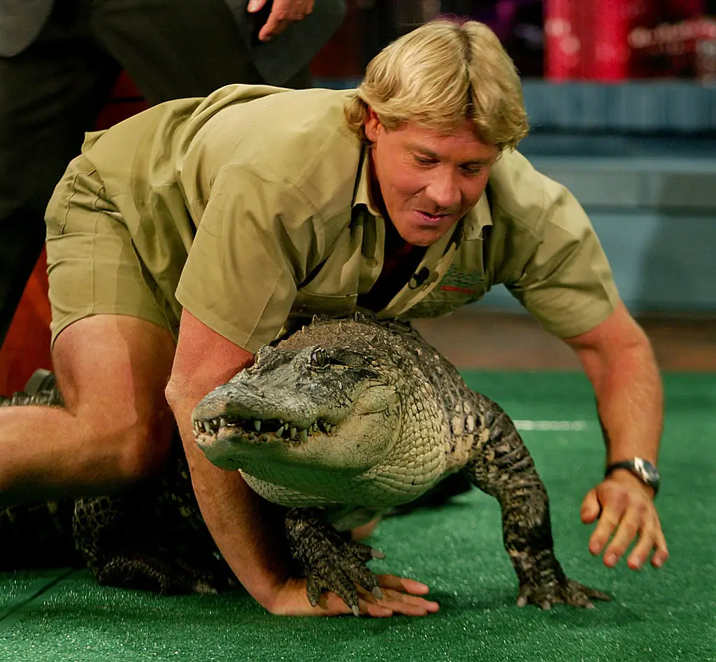 It's been two decades since Irwin's tragic death (Photo by Ken Hively/Los Angeles Times via Getty Images)