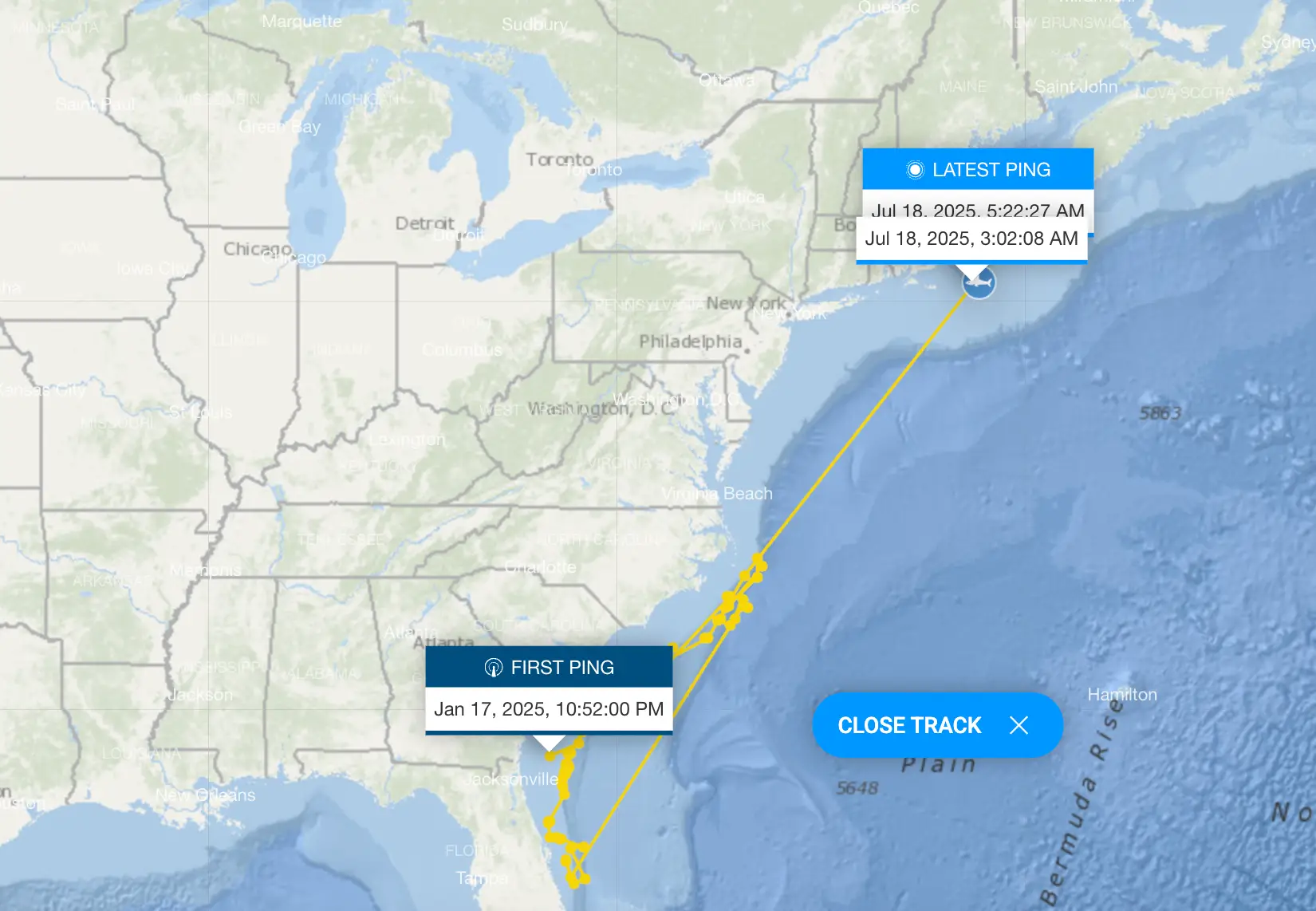 Tracking shows Contender's movements since January (OCEARCH)