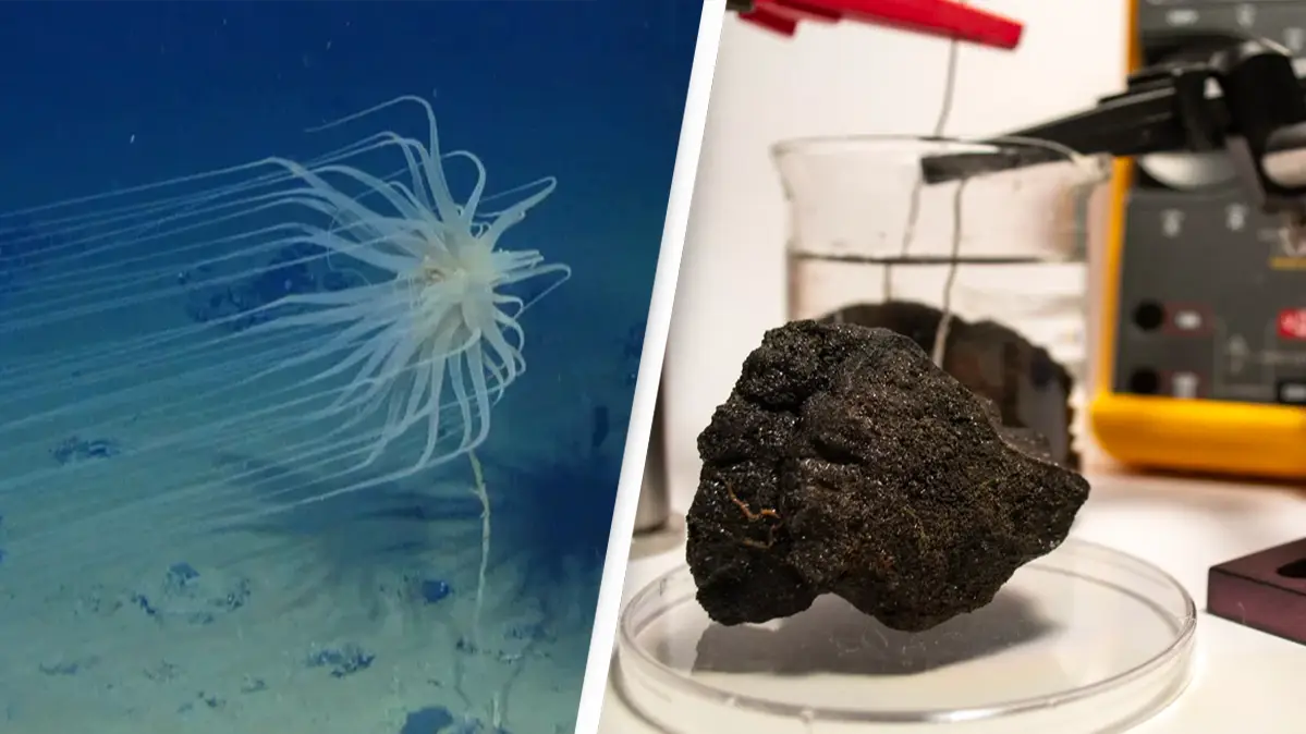 'Ground-breaking' dark oxygen discovery 13,000 feet below ocean's surface has scientists re-thinking origins of life