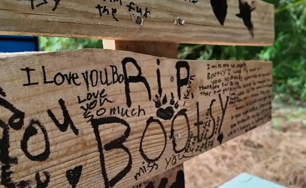 Three people have been charged in connection to the death of the pic (Fox 5 News)