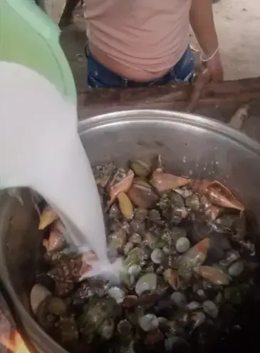 Emma Amit filmed as she prepared the devil crab and other shellfish and snails (Emma Amit/Facebook)