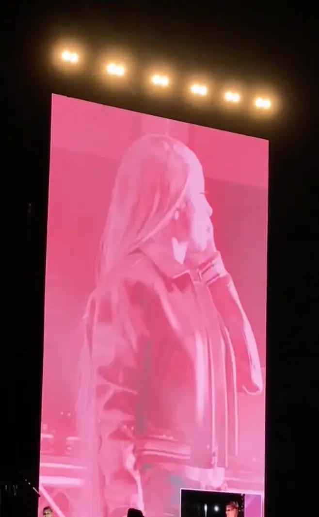 Fans were not happy (TikTok/naomiaparo)