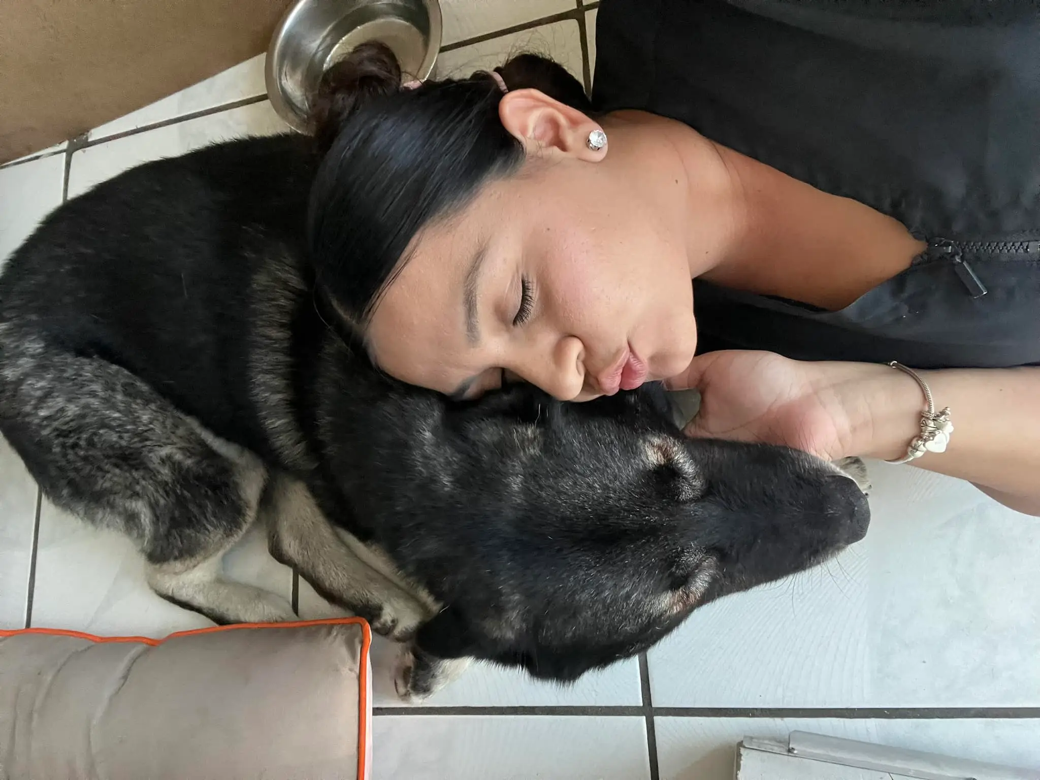 The heavy metal husky was later reunited with her family.