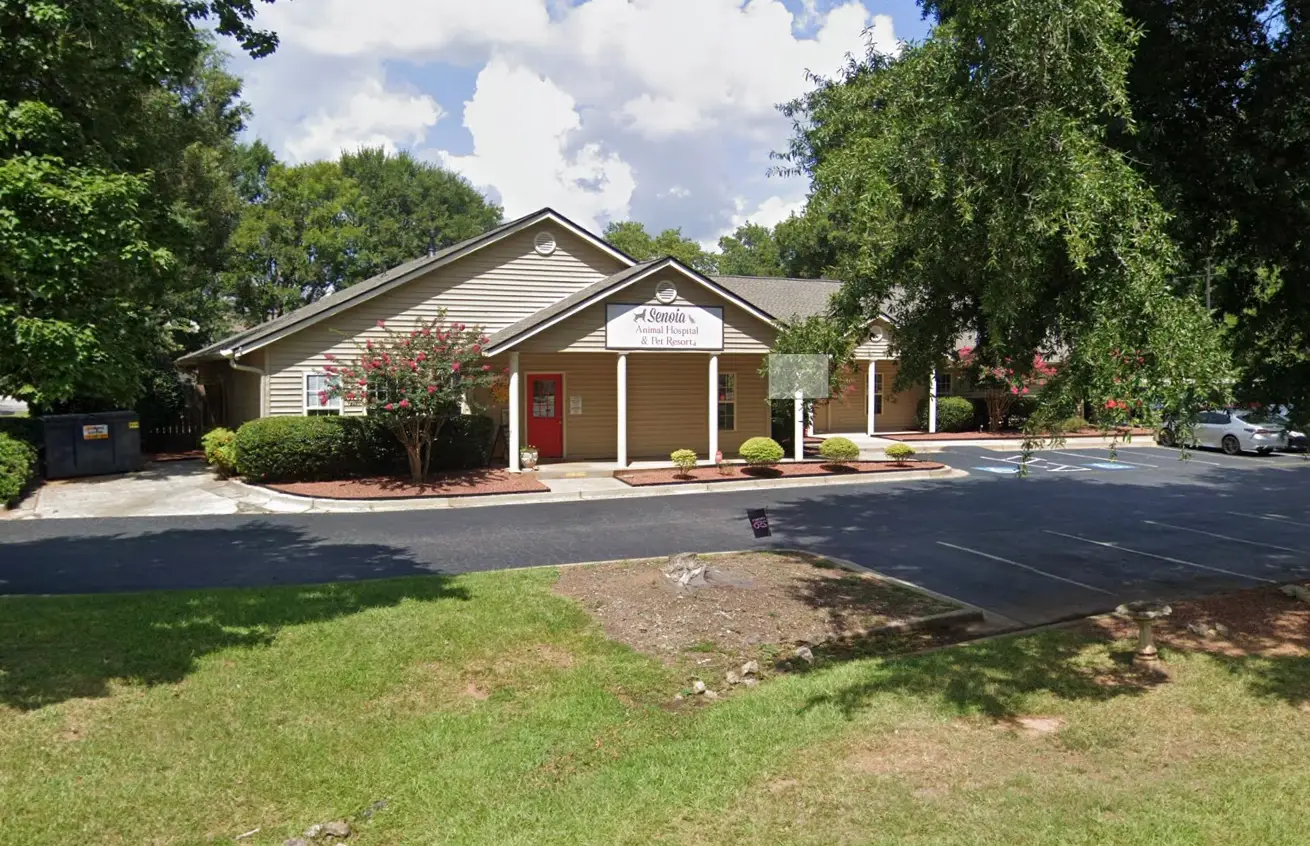 Senoia Animal Hospital in Coweta County, Georgia, is at the center of an investigation involving two families who paid for pet euthanasia (Google Street View)
