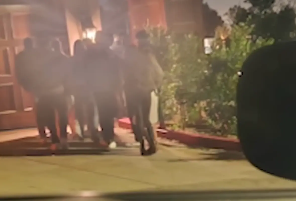 The Beverly Hills partgoers have been disturbing neighbors.