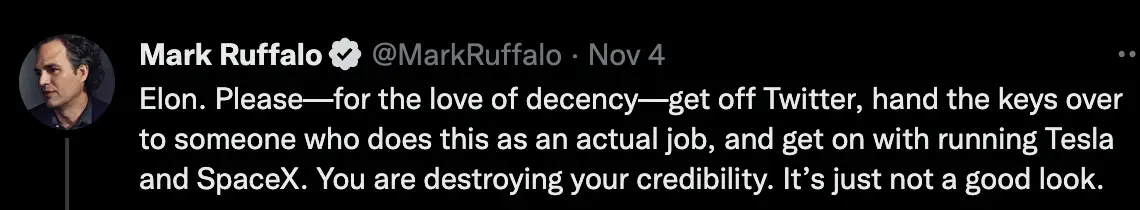 By the sound of it, Mark Ruffalo is not here for the mass changes Elon Musk is making to Twitter.