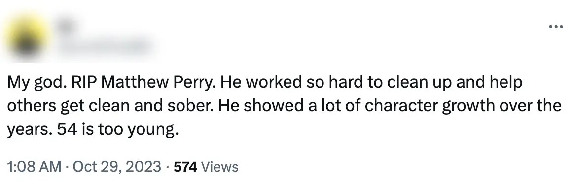 Fans praised Matthew Perry for his work.