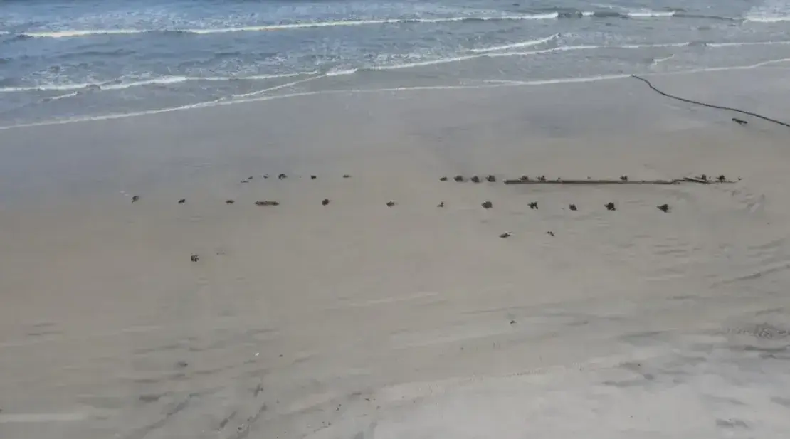 Some people think it's a shipwreck or old pier.