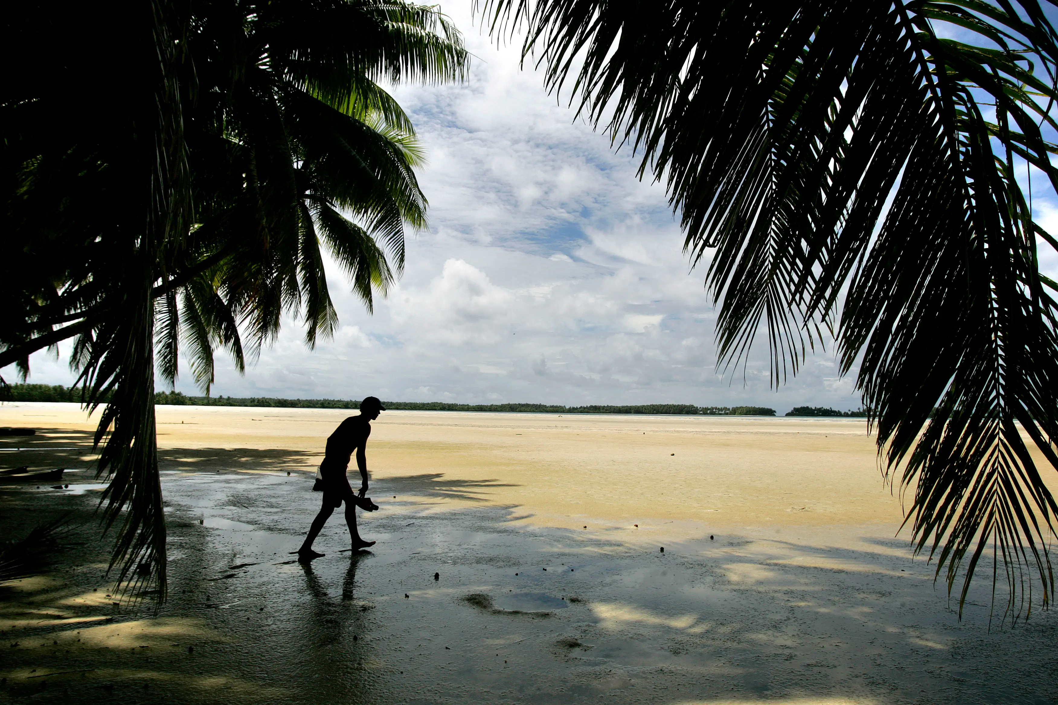 Would you visit Palmyra Atoll? (Getty Images/ Rick Loomis/Los Angeles Times) 
