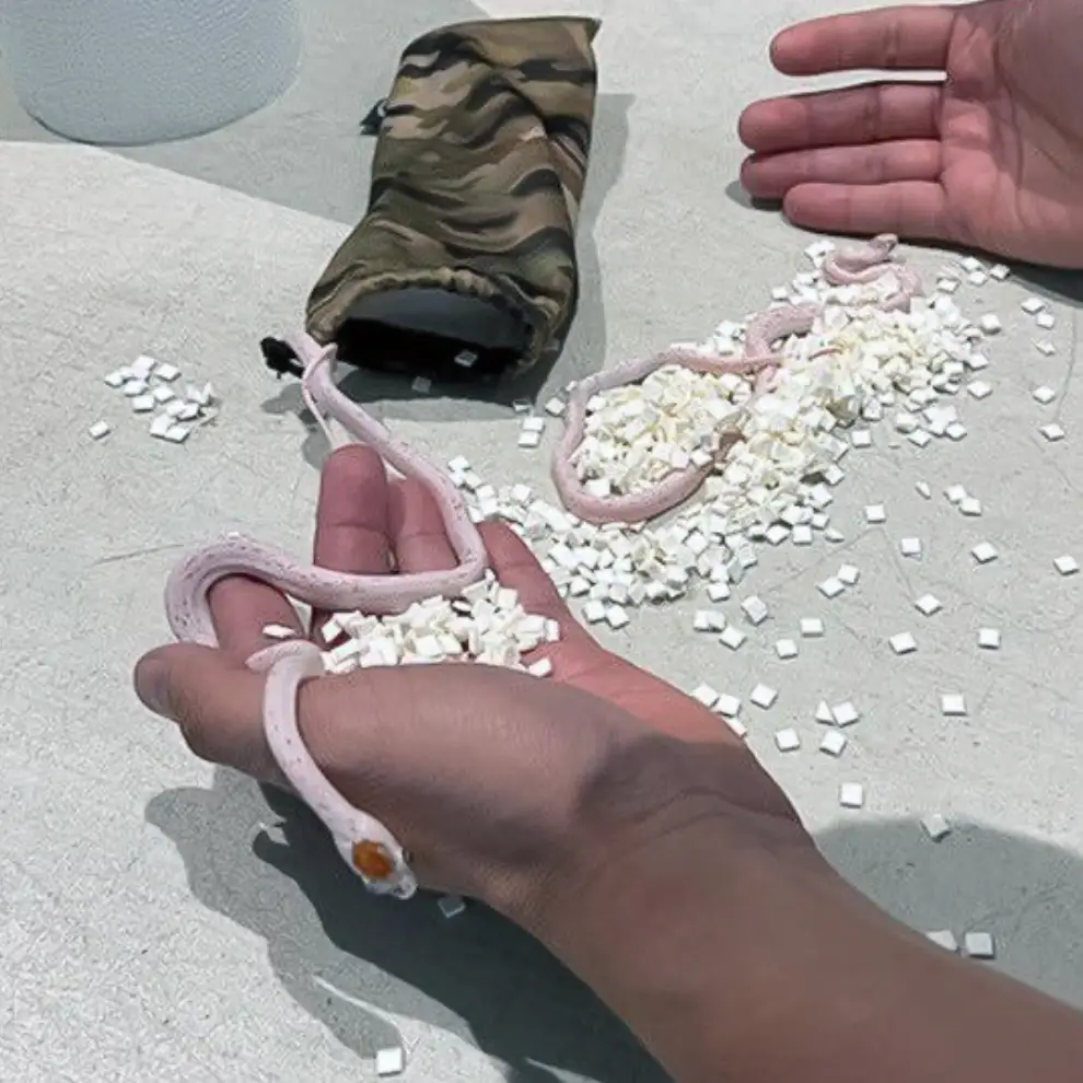 The man with the snakes was stopped at the airport. (Jam Press)