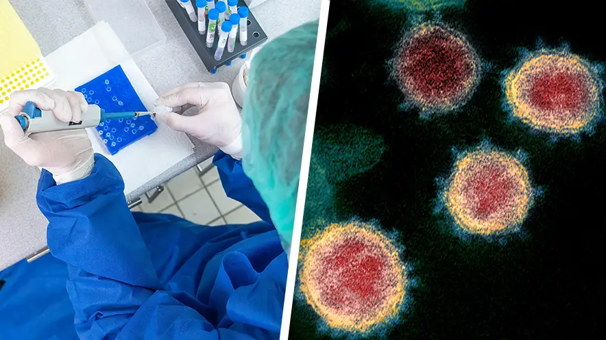 Omar Halawi / Alamy Stock Photo. BSIP SA / Alamy Stock Photo