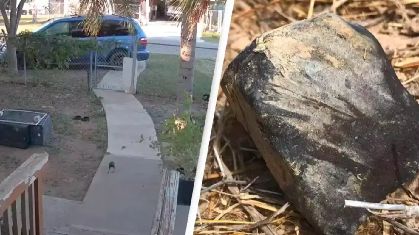 @disdikmark/Twitter/NASA