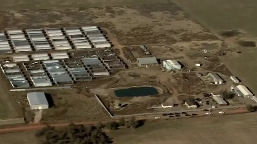 Four Chinese nationals have been killed at a US weed farm in Oklahoma.