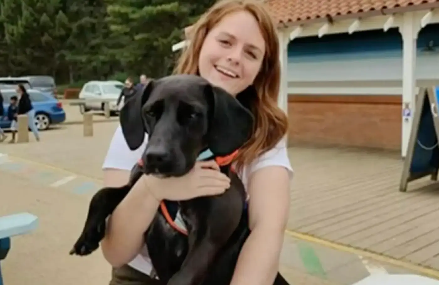 Bluebell didn't end up on the same flight as the Miller family.