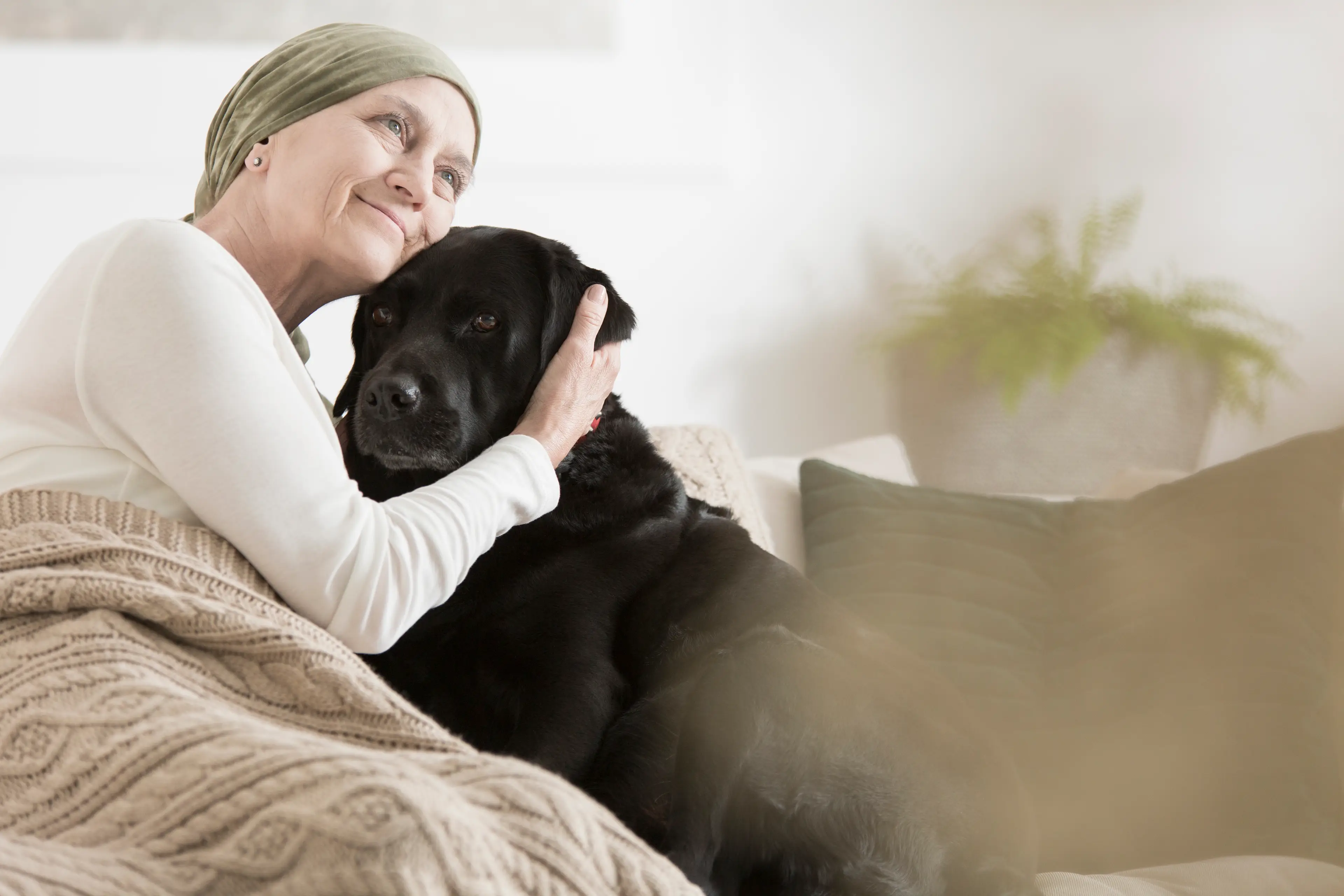 Contact with a dog is thought to reduce a person's risk of dying from cancer by 64 percent (Getty Stock)