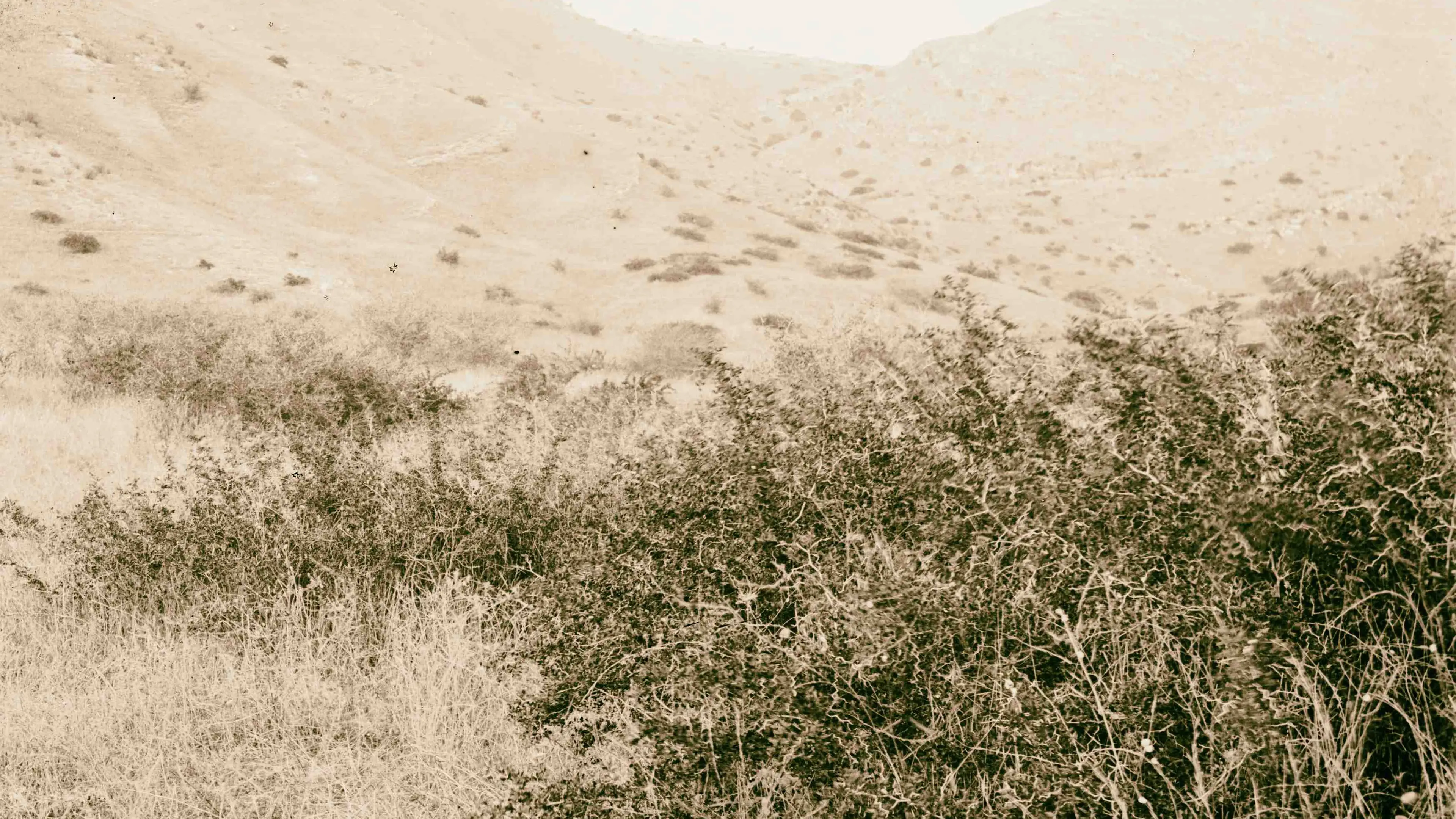 Sepia Times/Universal Images Group via Getty Images